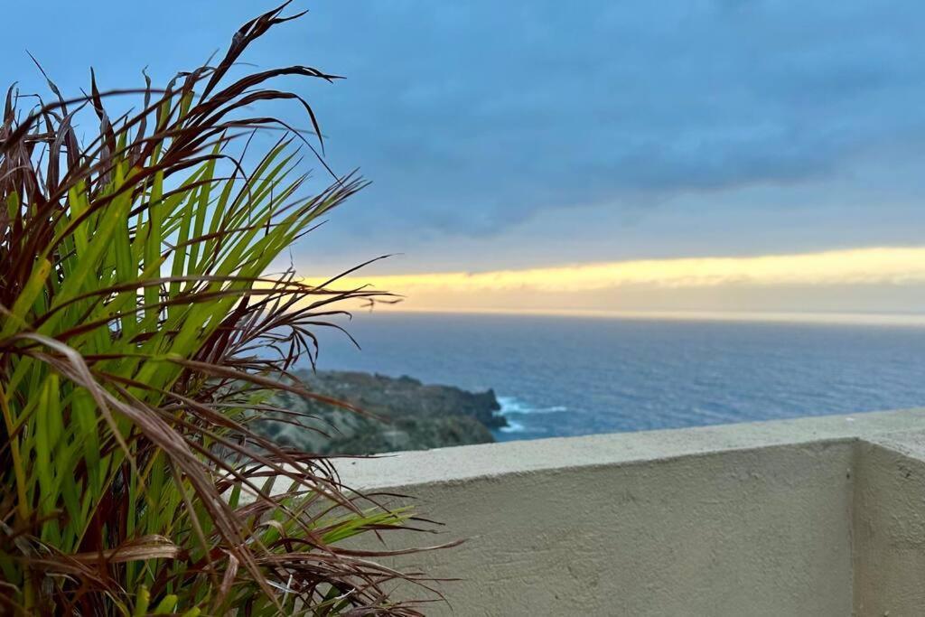 Peaceful Oasis With Magical Sea Views And A Pool Villa Santa Cruz de Tenerife Dış mekan fotoğraf
