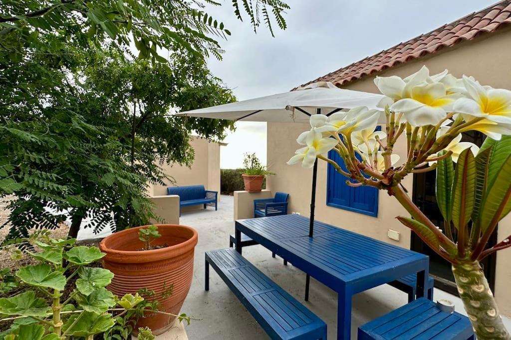 Peaceful Oasis With Magical Sea Views And A Pool Villa Santa Cruz de Tenerife Dış mekan fotoğraf