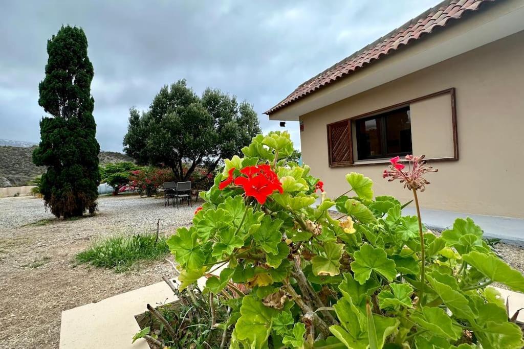 Peaceful Oasis With Magical Sea Views And A Pool Villa Santa Cruz de Tenerife Dış mekan fotoğraf